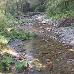 Gazdinstvo Popovic,kucka Korita-podgorica *