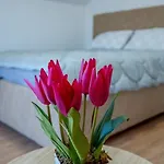 Gazdinstvo Popovic,kucka Korita-podgorica Agroturismo *