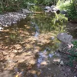 Gazdinstvo Popovic,kucka Korita-podgorica Agroturismo