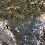 Agroturismo Gazdinstvo Popovic,kucka Korita-podgorica *