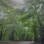 Gazdinstvo Popovic,kucka Korita-podgorica Agroturismo