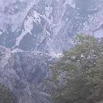 Gazdinstvo Popovic,kucka Korita-podgorica Podgorica