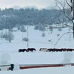 Gazdinstvo Popovic,kucka Korita-podgorica * Podgorica