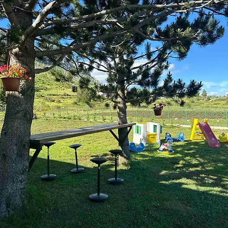 Gazdinstvo Popovic,kucka Korita-podgorica Lantgård *