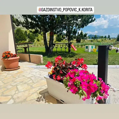 Gazdinstvo Popovic,kucka Korita-podgorica בית חווה *