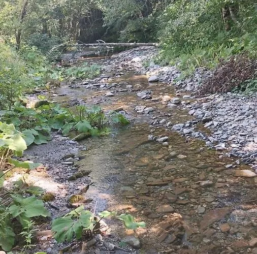 Gazdinstvo Popovic,kucka Korita-podgorica *