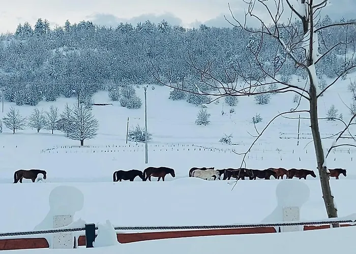 Gazdinstvo Popovic,kucka Korita-podgorica * Podgorica