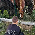 Gazdinstvo Popovic,kucka Korita-podgorica