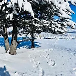 Gazdinstvo Popovic,kucka Korita-podgorica Farmház *