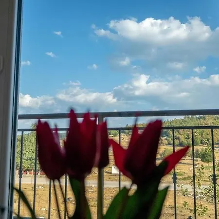 Farma Gazdinstvo Popovic,kucka Korita-podgorica Podgorica