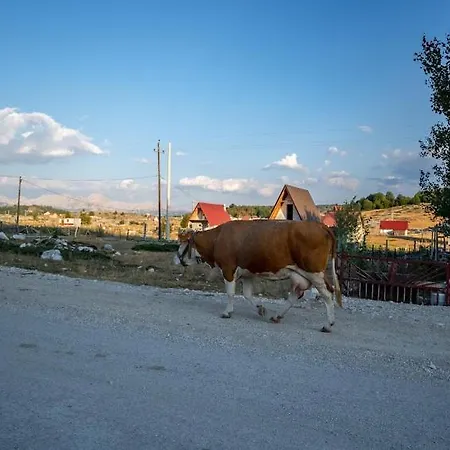 Gazdinstvo Popovic,kucka Korita-podgorica