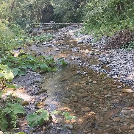 Gazdinstvo Popovic,kucka Korita-podgorica *
