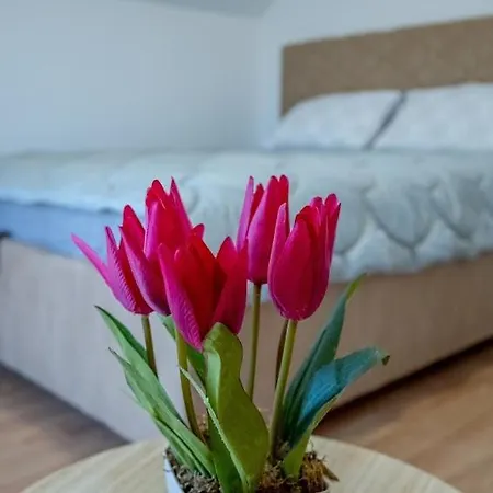 Gazdinstvo Popovic,kucka Korita-podgorica Çiftlik konaklama *