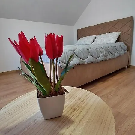 Gazdinstvo Popovic,kucka Korita-podgorica *