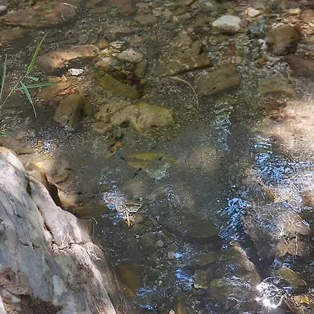 Κατάλυμα σε φάρμα Gazdinstvo Popovic,kucka Korita-podgorica *