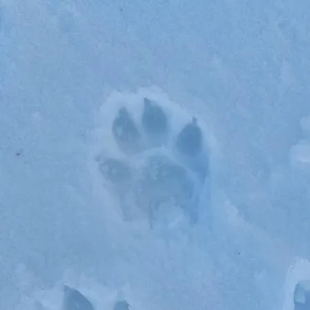 Gazdinstvo Popovic,kucka Korita-podgorica Ποντγορίτσα