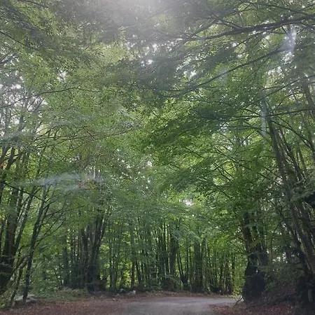 Gazdinstvo Popovic,kucka Korita-podgorica Çiftlik konaklama