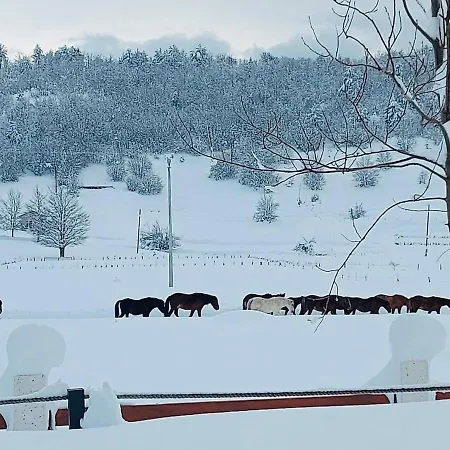 Gazdinstvo Popovic,kucka Korita-podgorica * Ποντγορίτσα