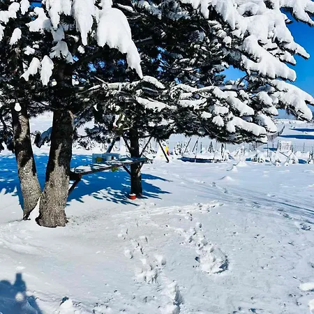 Gazdinstvo Popovic,kucka Korita-podgorica Farma *