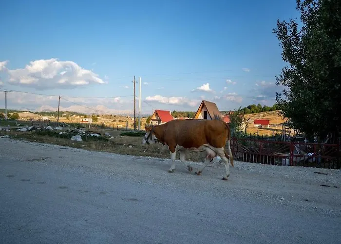 Gazdinstvo Popovic,kucka Korita-podgorica
