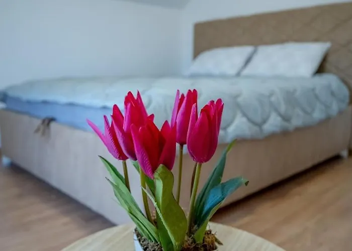 Gazdinstvo Popovic,kucka Korita-podgorica Agroturismo *