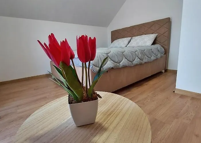 Gazdinstvo Popovic,kucka Korita-podgorica *