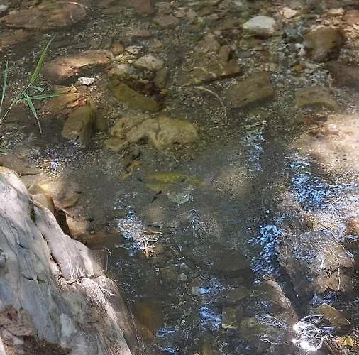 팜스테이 Gazdinstvo Popovic,kucka Korita-podgorica *