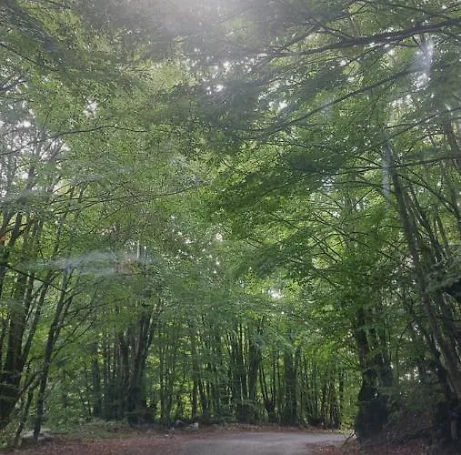 Gazdinstvo Popovic,kucka Korita-podgorica Agroturismo