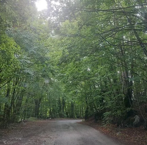 Agroturismo Gazdinstvo Popovic,kucka Korita-podgorica *